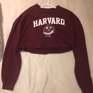 Harvard cropped sweater